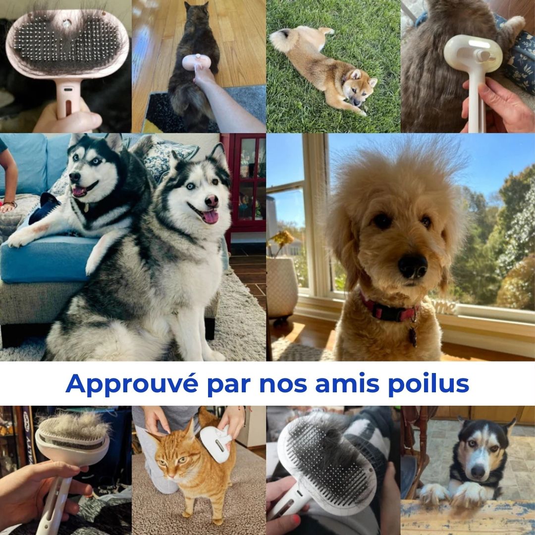 Touffy™ - Brosse 3 en 1 pour Animaux