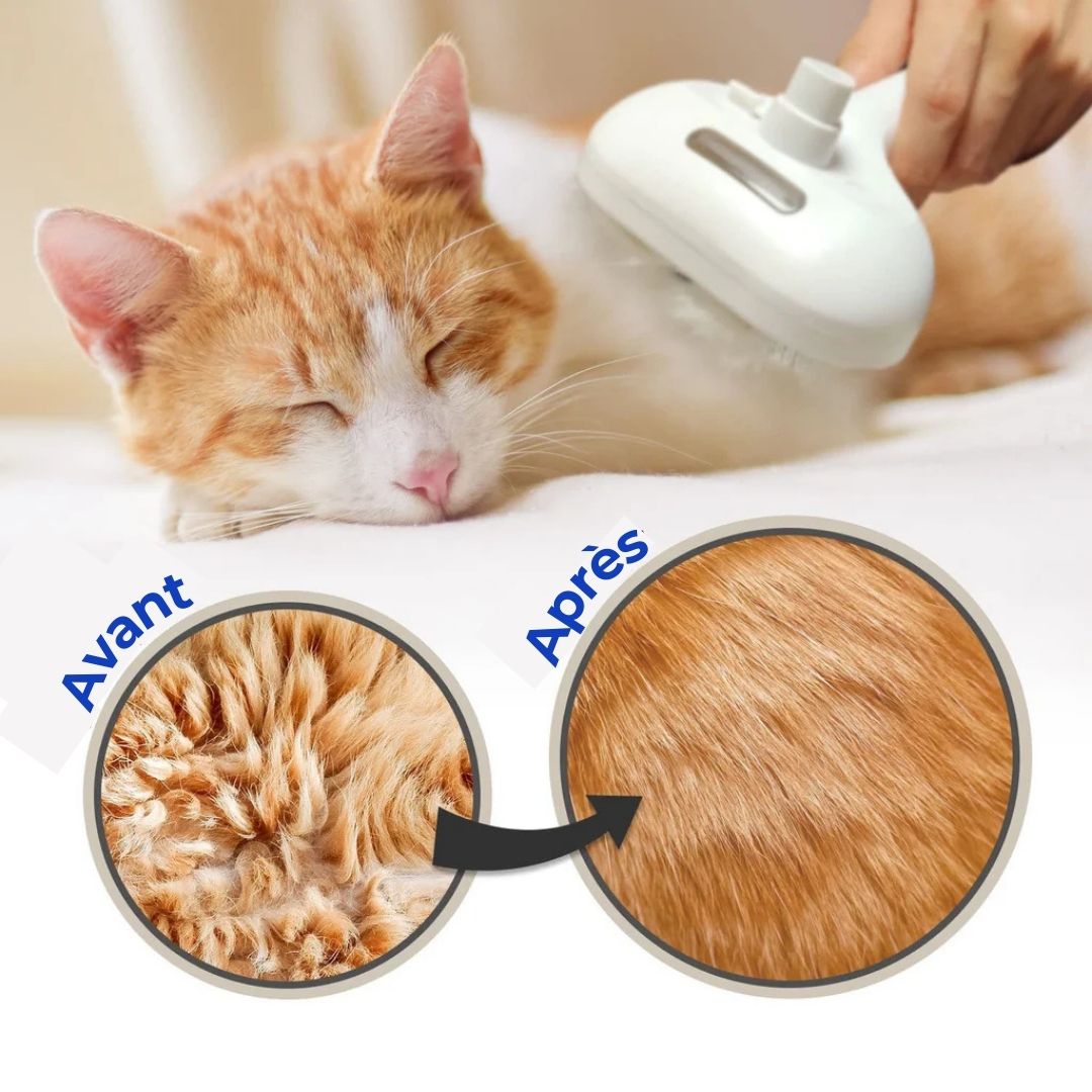 Touffy™ - Brosse 3 en 1 pour Animaux